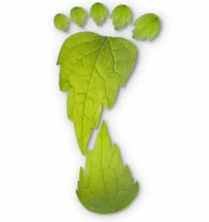 Green Footprint